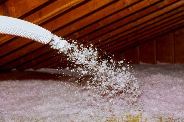 Professional Insulation Contractor in Carlsbad, NM
