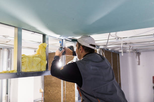 Best Spray Foam Insulation in Carlsbad, NM